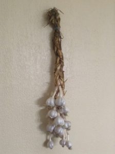cured garlic braid
